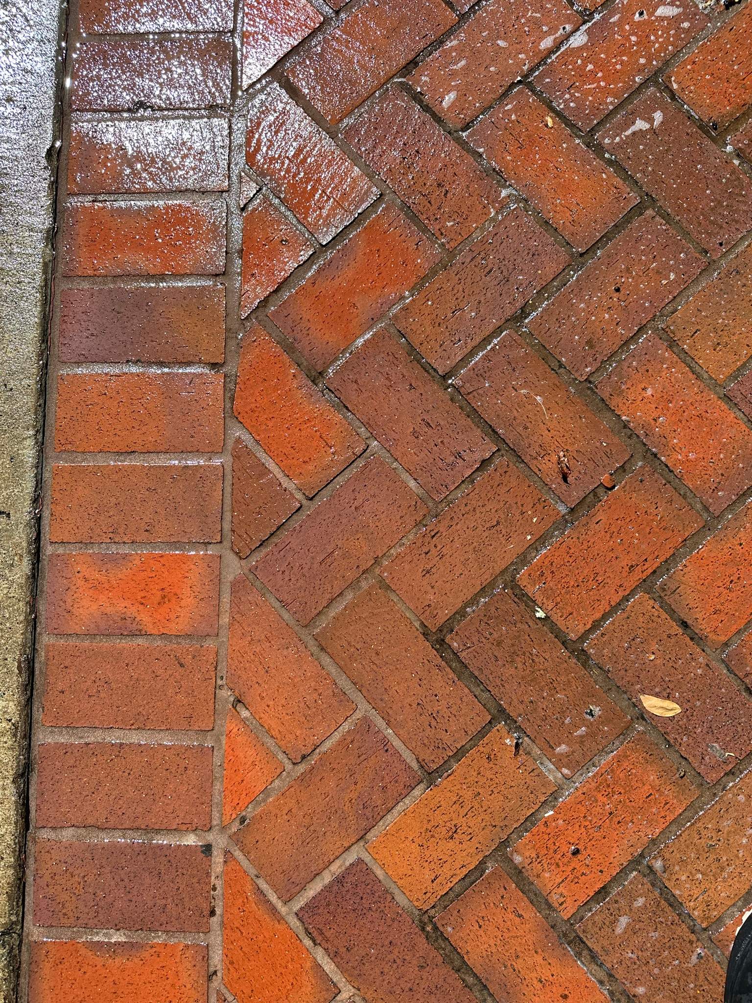 Orange County Clay Tile Roof Soft Wash on Unwalkwable Roof by Property Cleaning Experts