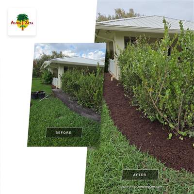 Pipers Landing Hedge Revival