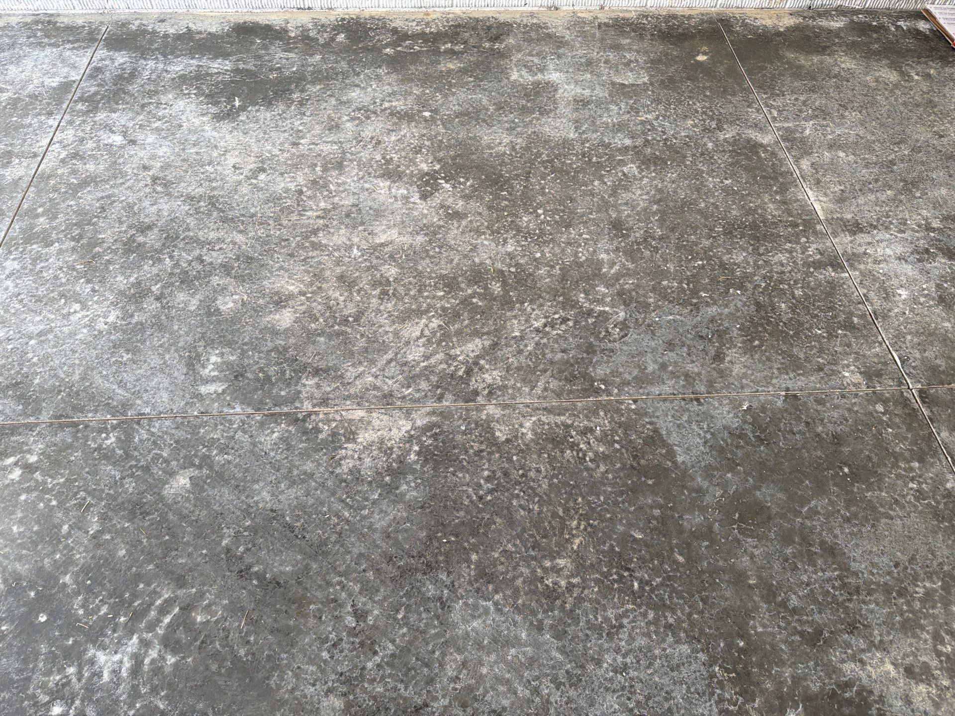 Cabin Fever Decorative Flake Garage Floor Coating in Sioux Falls by Select Painting, Coatings & Garage Cabinets