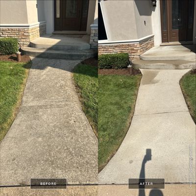 Project in Palatine