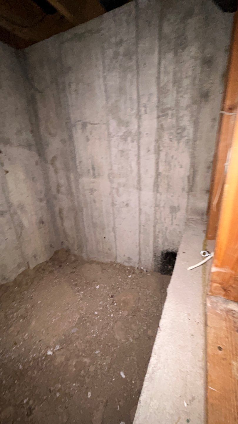 Mold Damage by Accountable Home Services