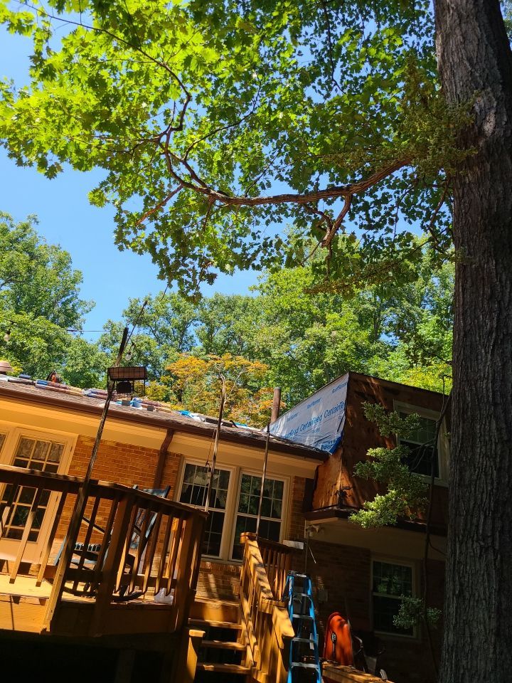 Fairfax Station: CertainTeed Landmark Pro Designer Shingles in Max Def Resawn Shake by RM Banning, Inc.