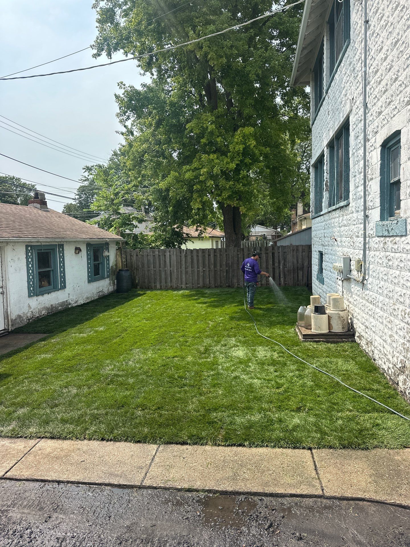 Michal Ann L. - Des Plaines, IL by A&N