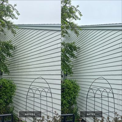 Project in Lake Villa