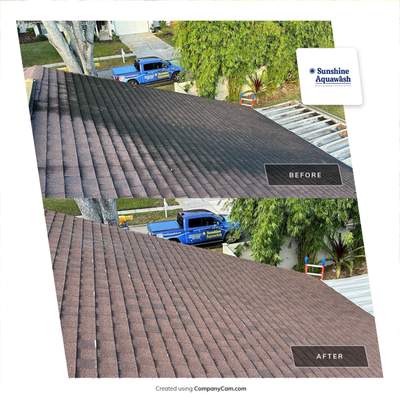 Roof Cleaning Service & Travertine Paver Cleaning