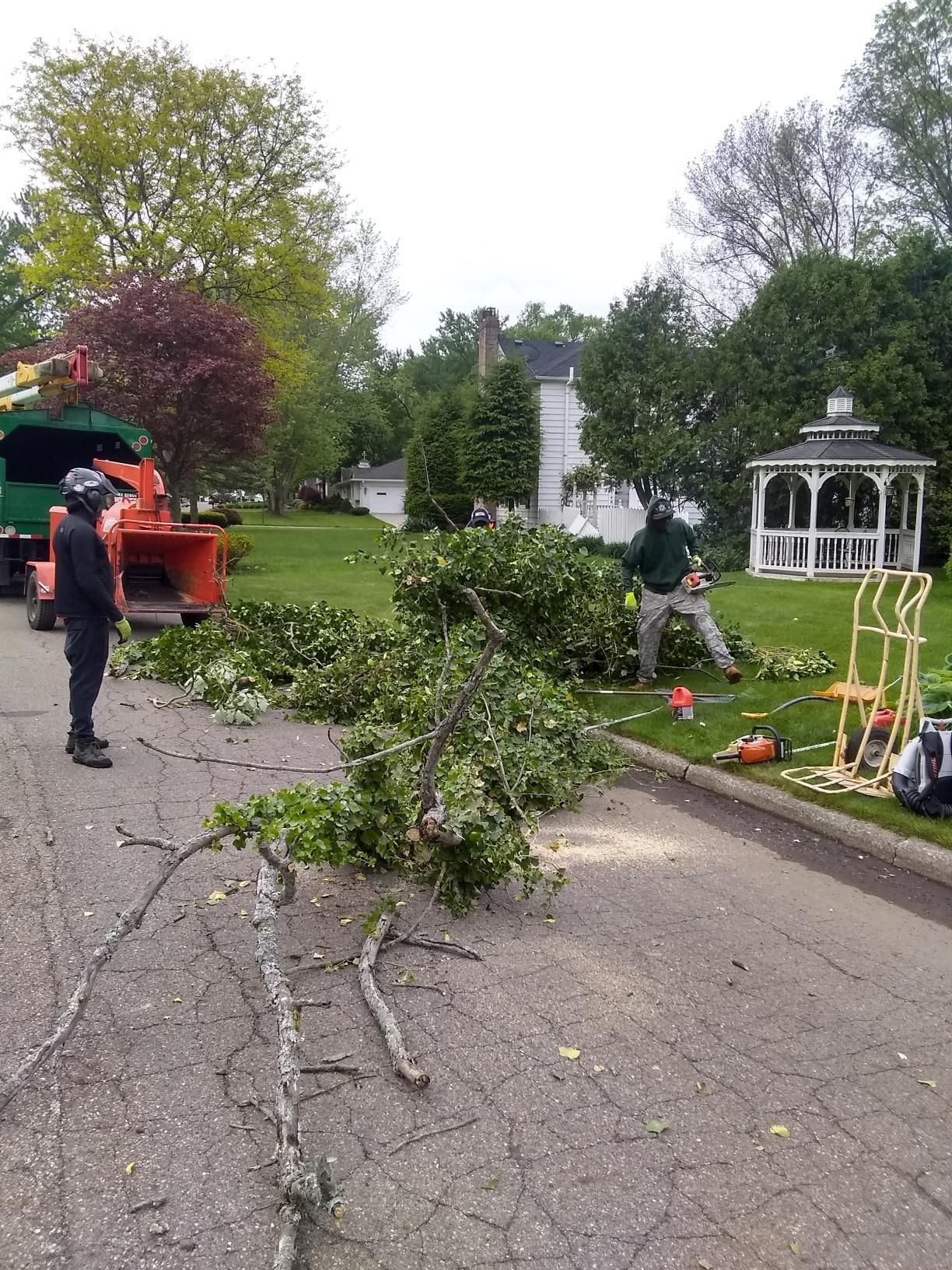 Tree Removal using Tree Removal by Mike Jones & Sons Tree Service LLC 