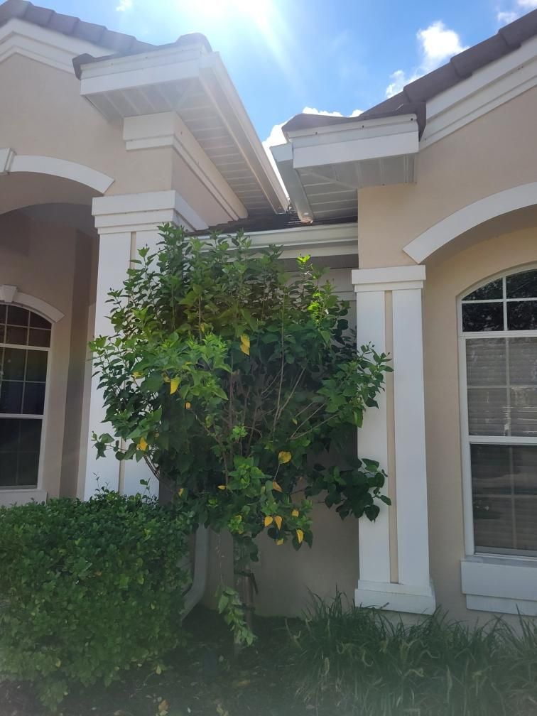6-inch Seamless Gutter Installation with Splash Guard in University Park, FL by Gutter Professors