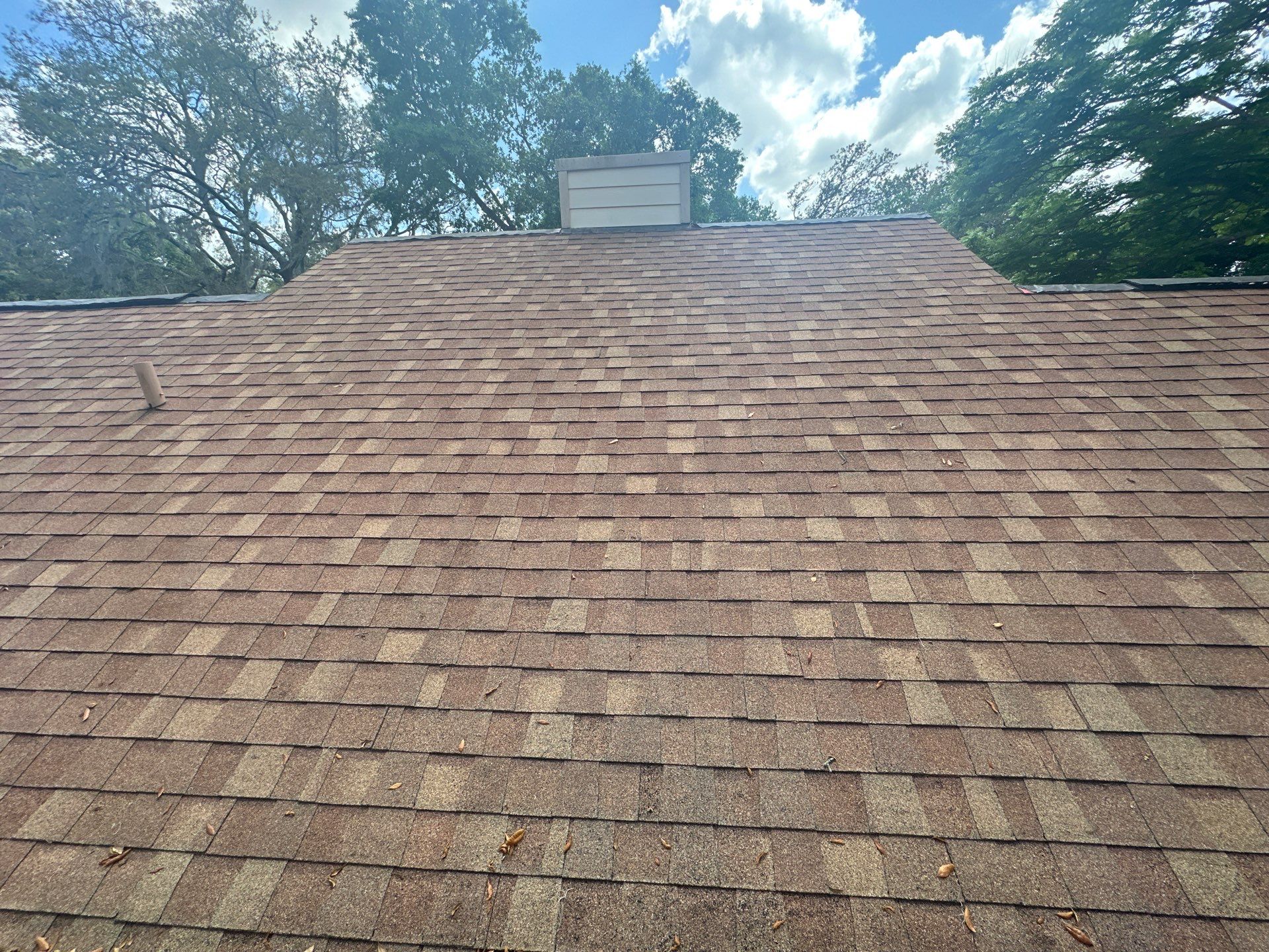 Bright Green Roof Central Florida featured photo.