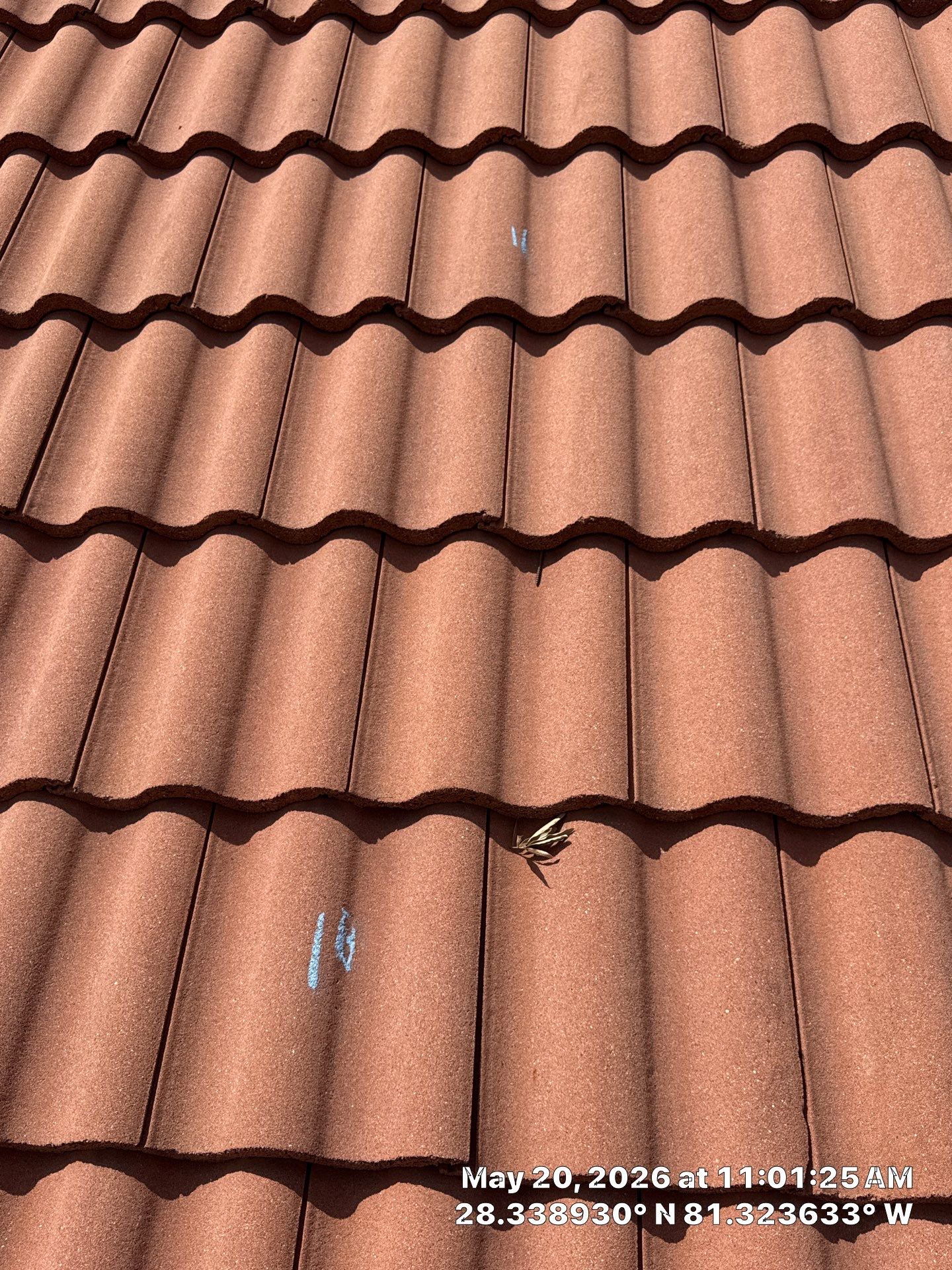 Project in Kissimmee, FL by New Horizons Roofing Inc