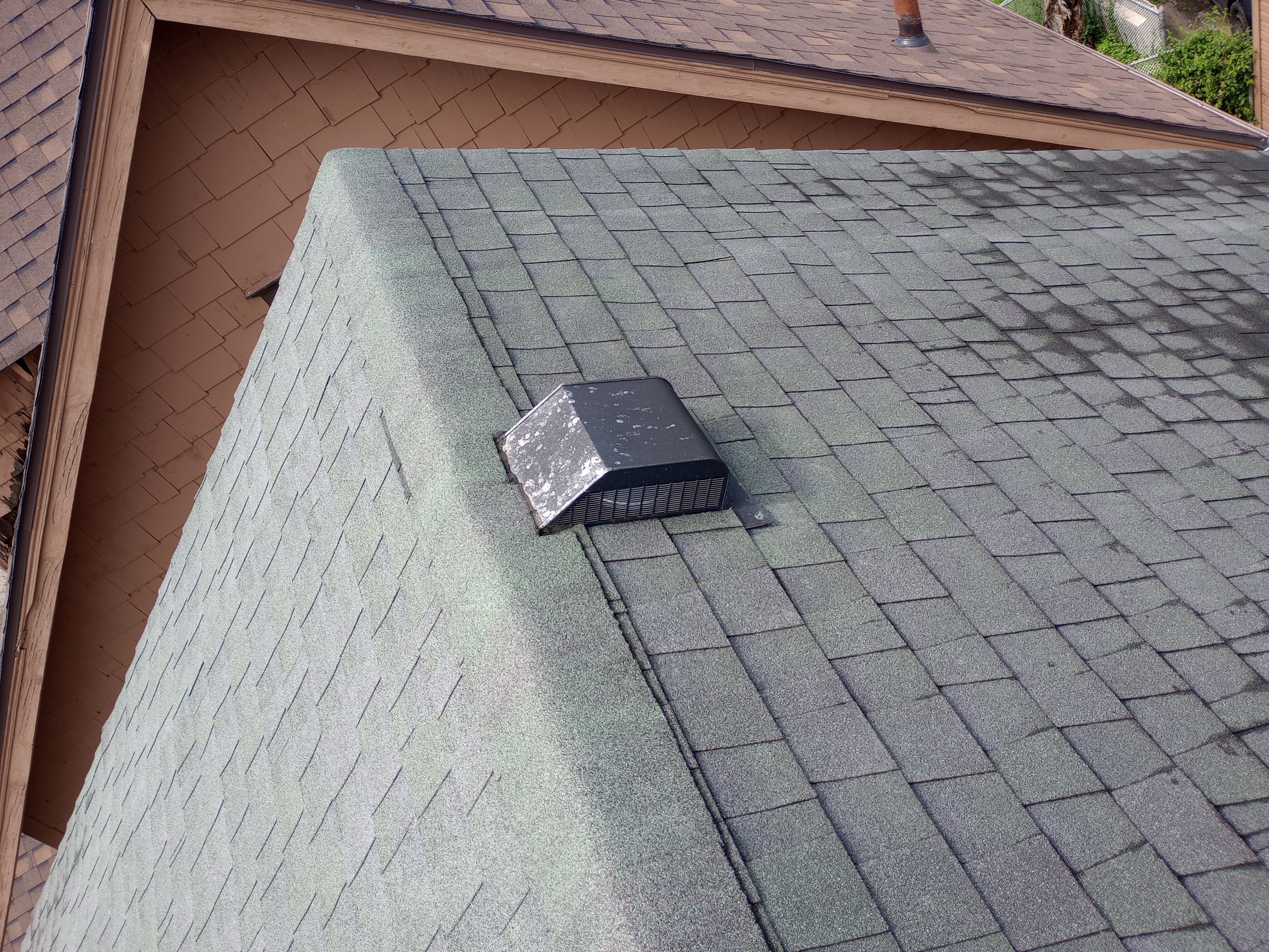 Patty Harrer by Silver Leaf Contracting 