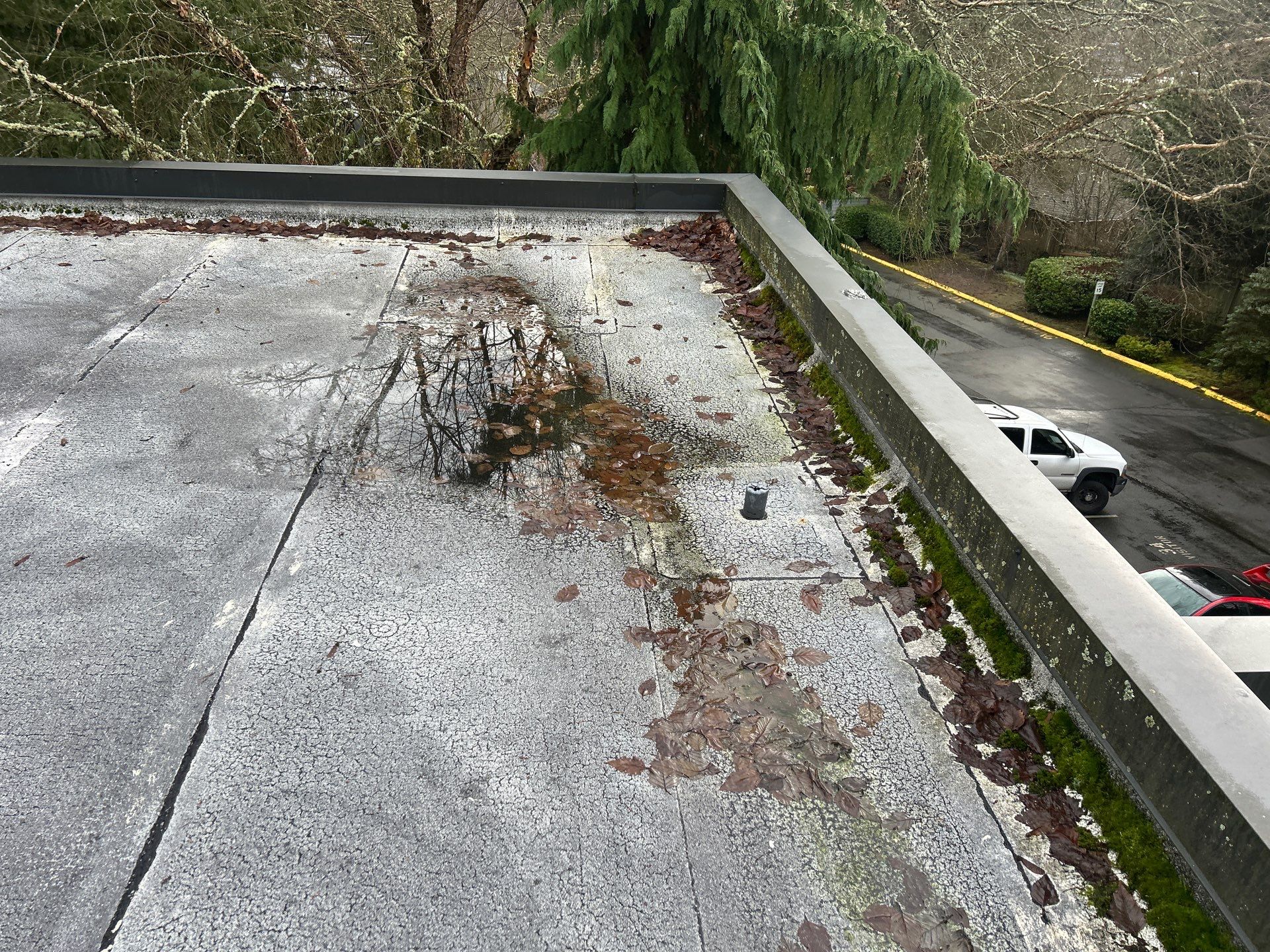 Project in Kirkland by Connolly Construction Company