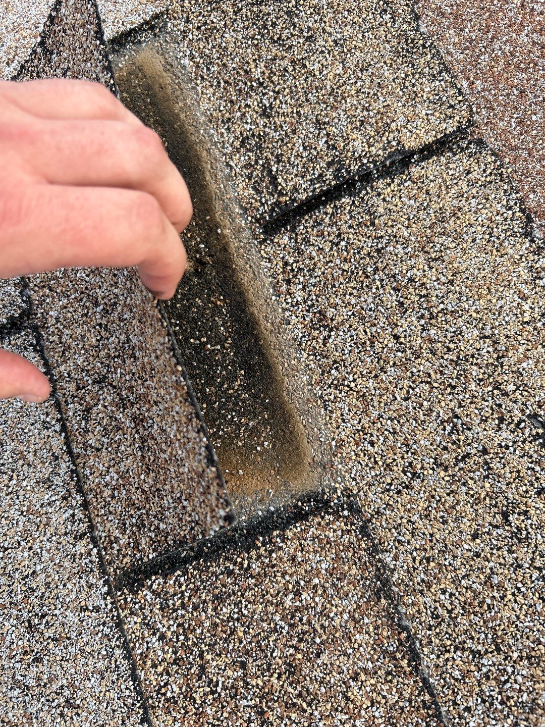 Zuriel's Full Re-Roof by All Storm Roofing & Construction