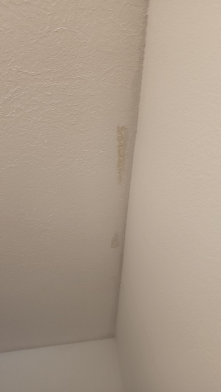 Suspect Mold growth in HVAC System by Building performance Solutions LLC