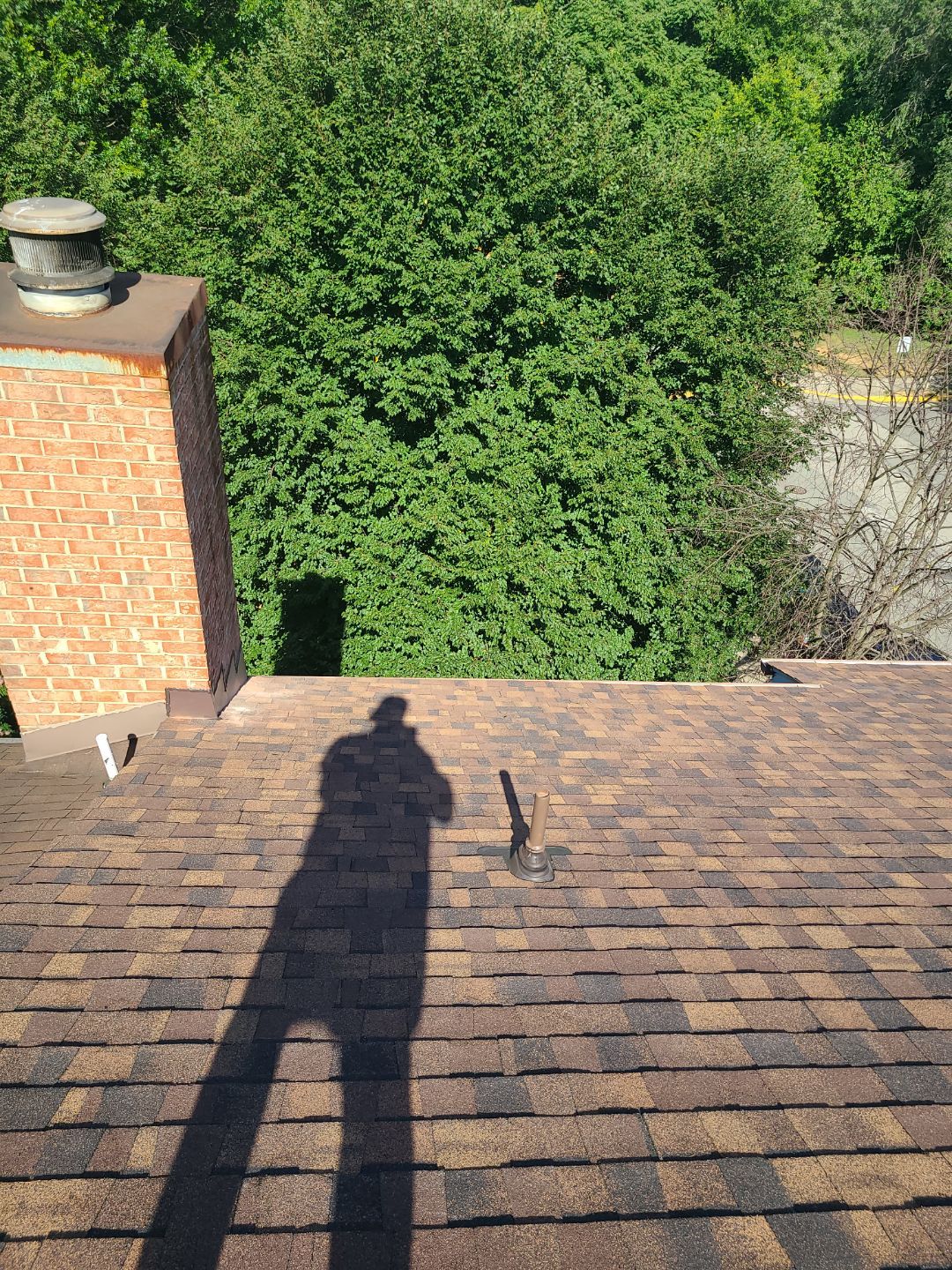 Alexandria: Roof Replacement with CertainTeed Landmark Pro in Max Def Burnt Sienna by RM Banning, Inc.