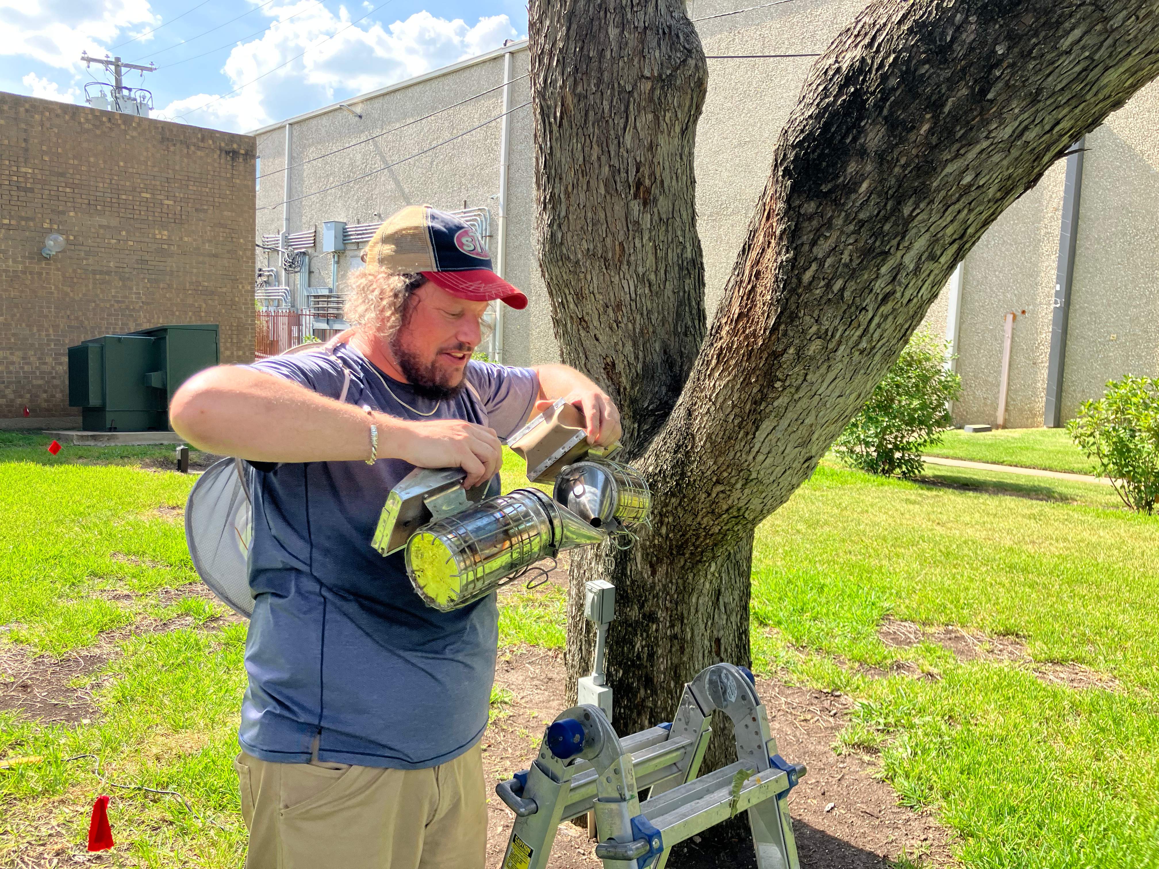 Favorite Tree Job by Rockwall Honey Bee Company