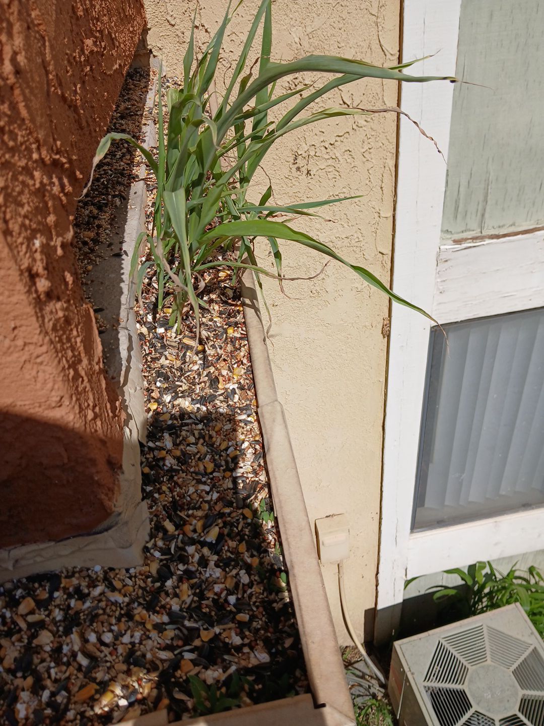 HOA gutter cleaning before photo Ontario, CA.