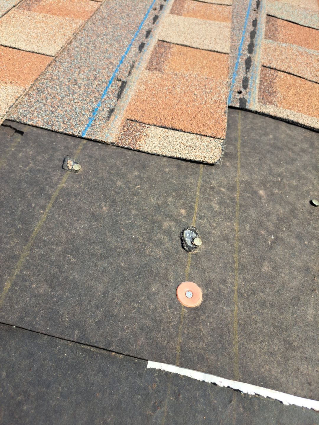 Desert Tan Shingles by Reimagine Roofing