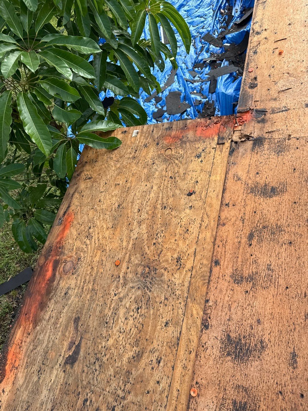 Project in St. Petersburg 33710 by Mitchell Roofing Company LLC