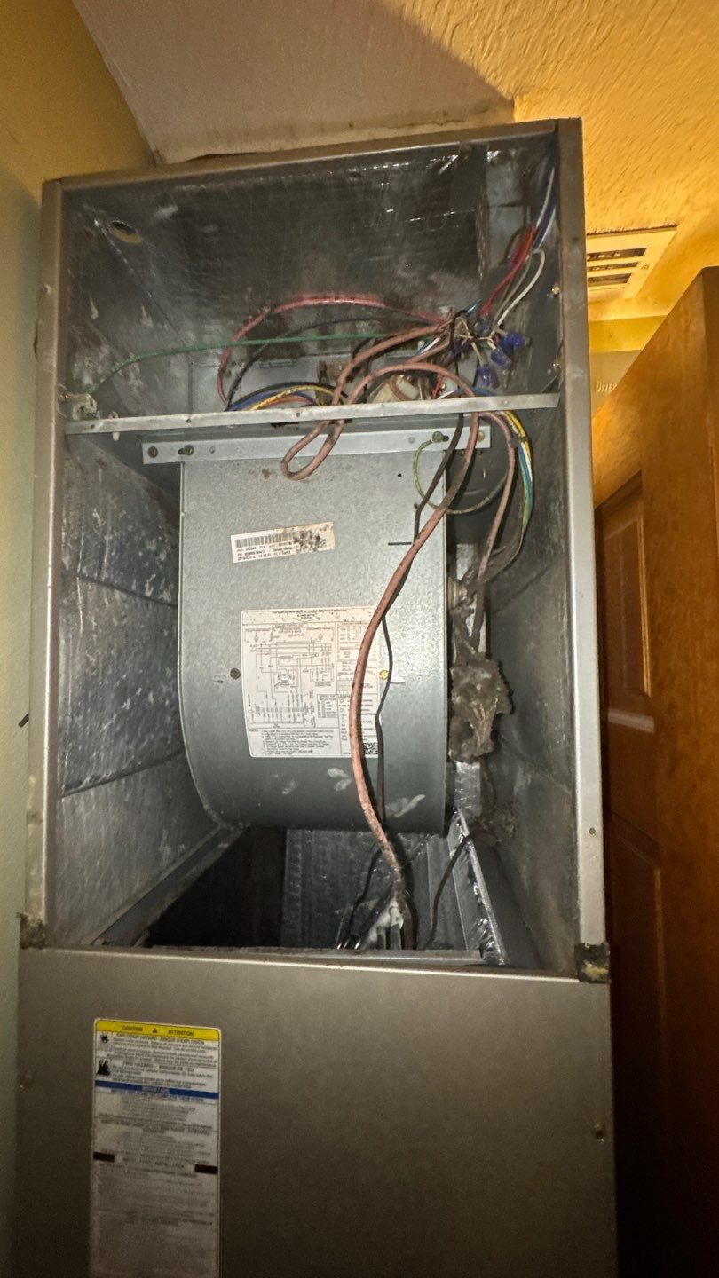 Extremely Dirty Air Duct Cleaning in Fruitland Park by Hygienic Air, Inc