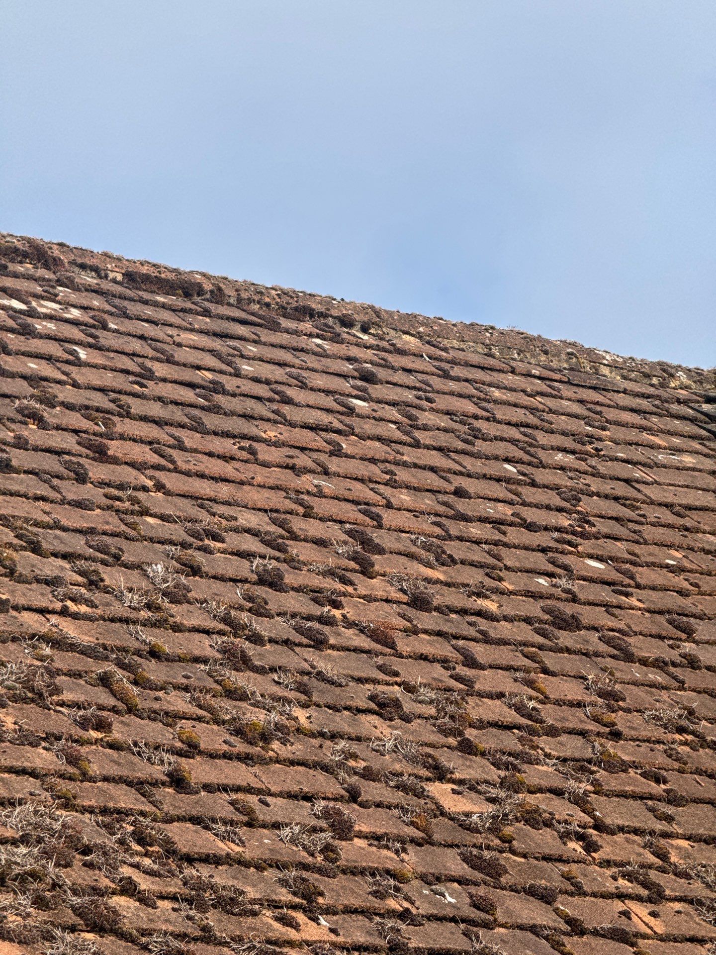 Roof Clean  - Moss Removal - Gutter Clean using Honda 15lpm Low Pressure Washing Machine by Ges Exterior Cleaning ltd