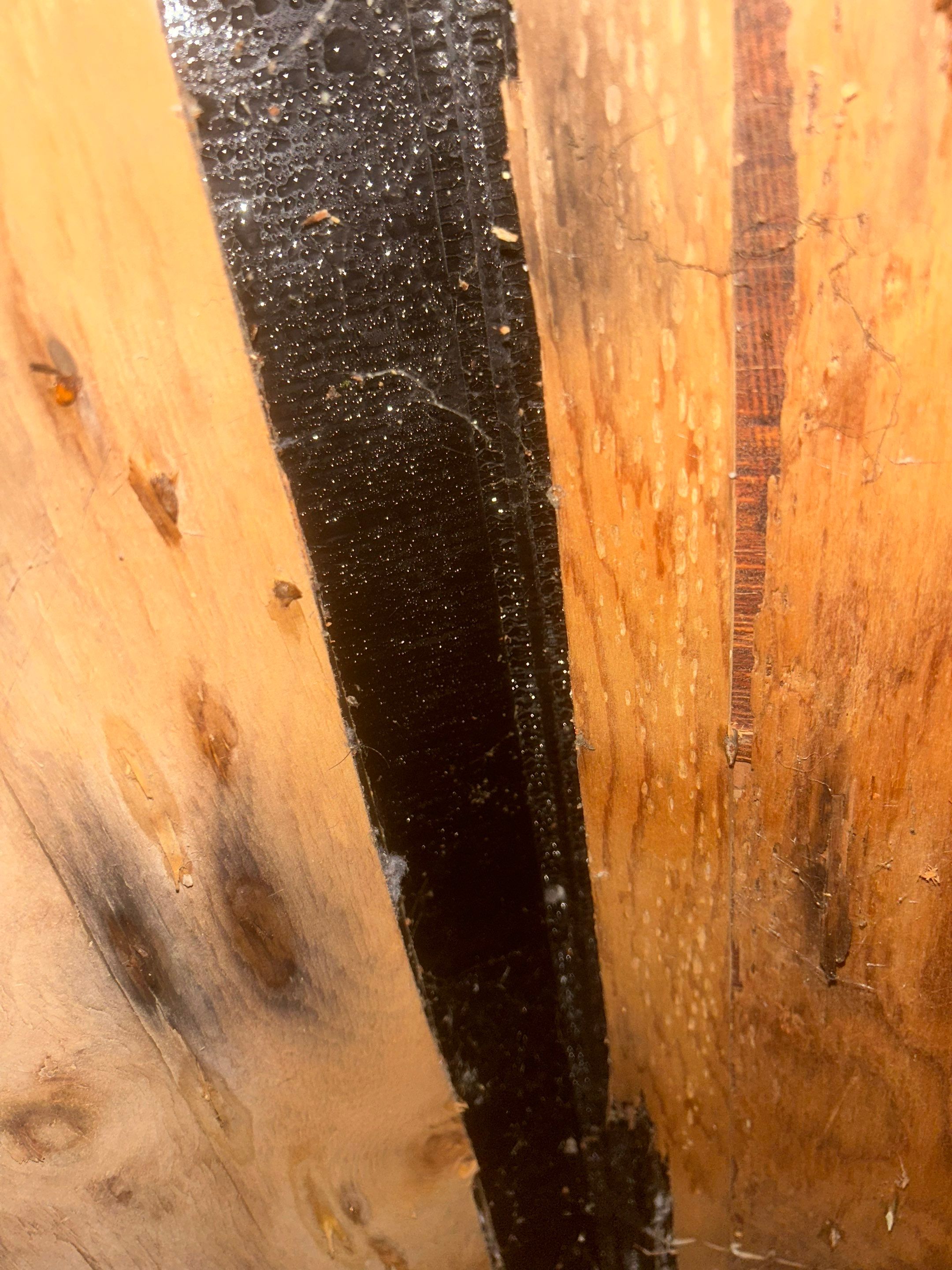 Project in Shoreline by Connolly Construction Company