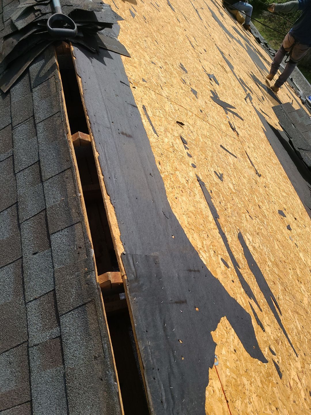 Burke: CertainTeed Landmark Pro Designer Shingles in Max Def Weathered Wood by RM Banning, Inc.