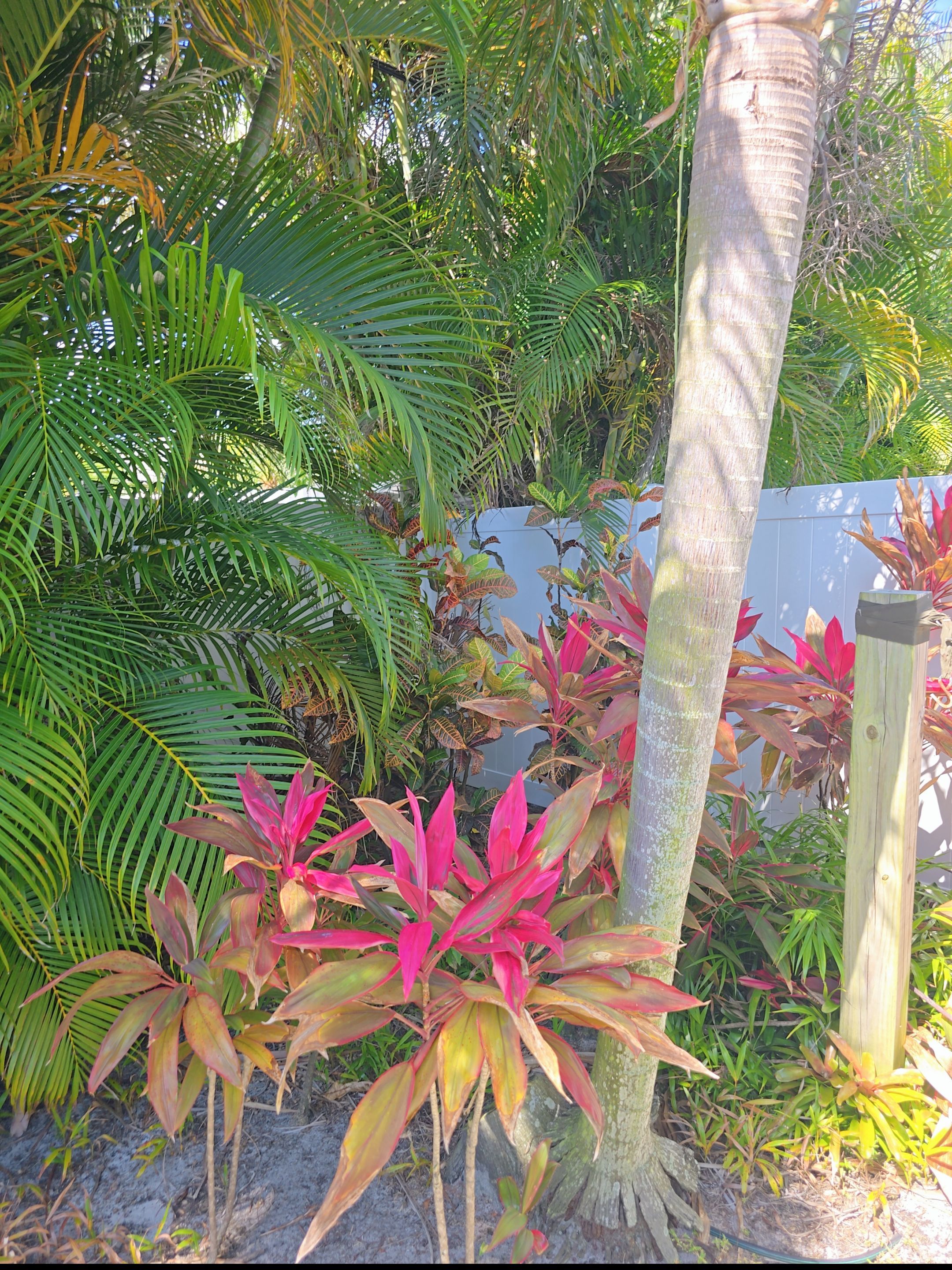 Vinyl Replacement in Naples by True Fence LLC