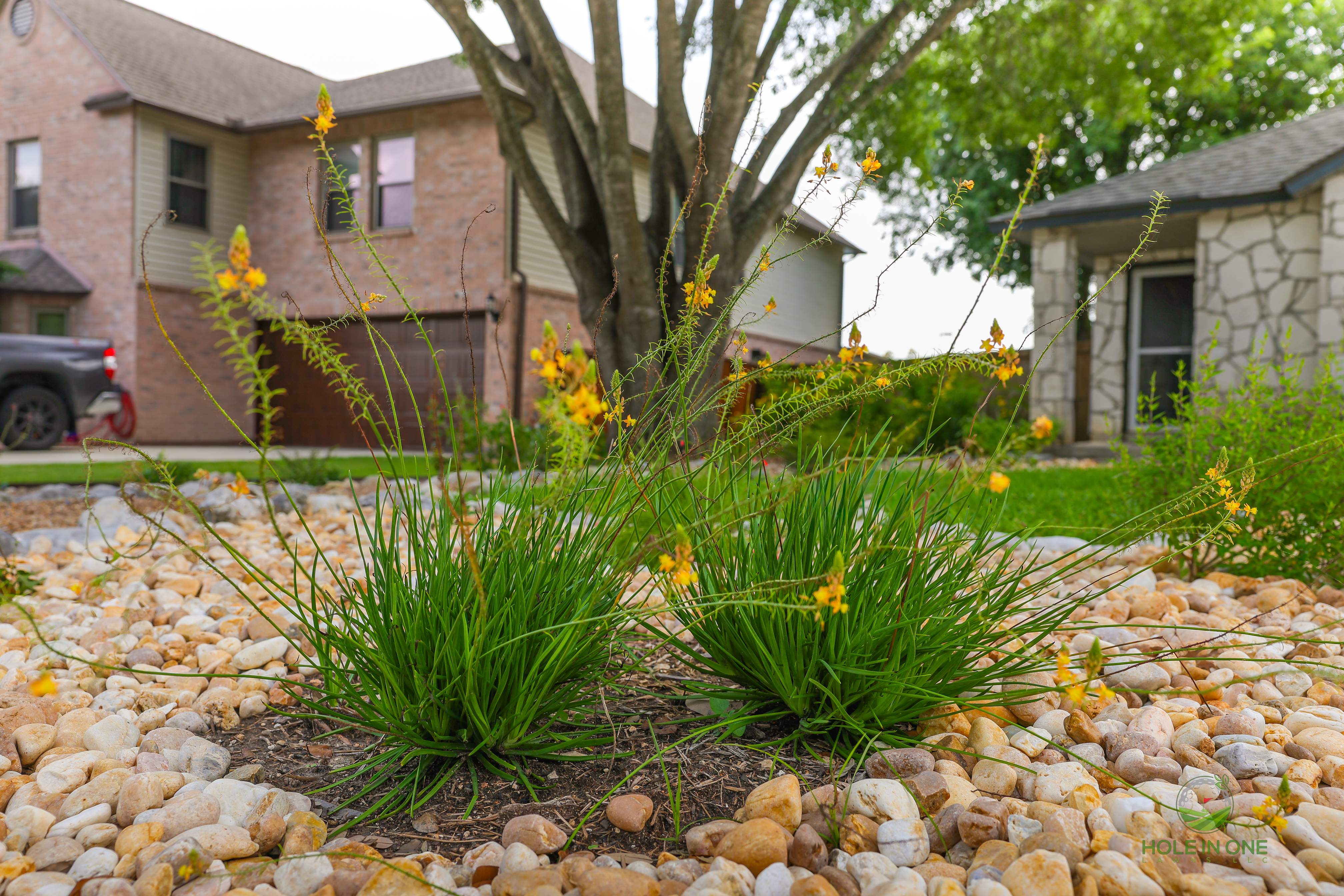 Ashley Park, Schertz TX by Hole In One Lawns, LLC