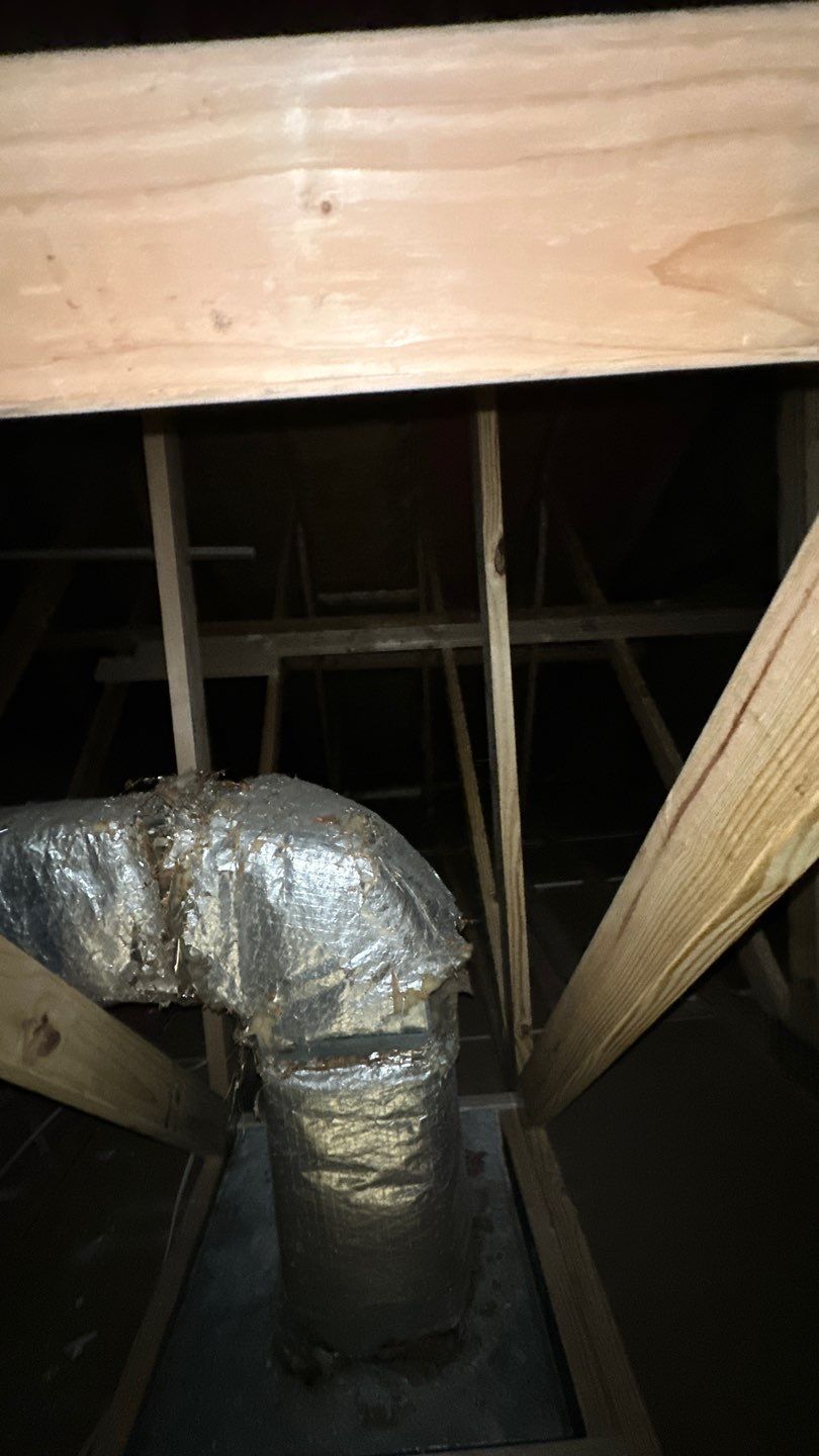 West Springfield: Major Tree Damage Restoration by RM Banning, Inc.