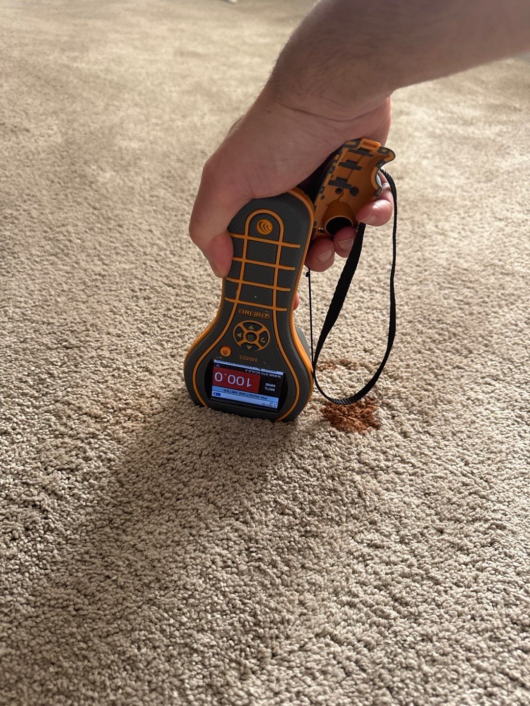 Project in Commerce Twp by EzDry Water Mitigation & Property Restoration