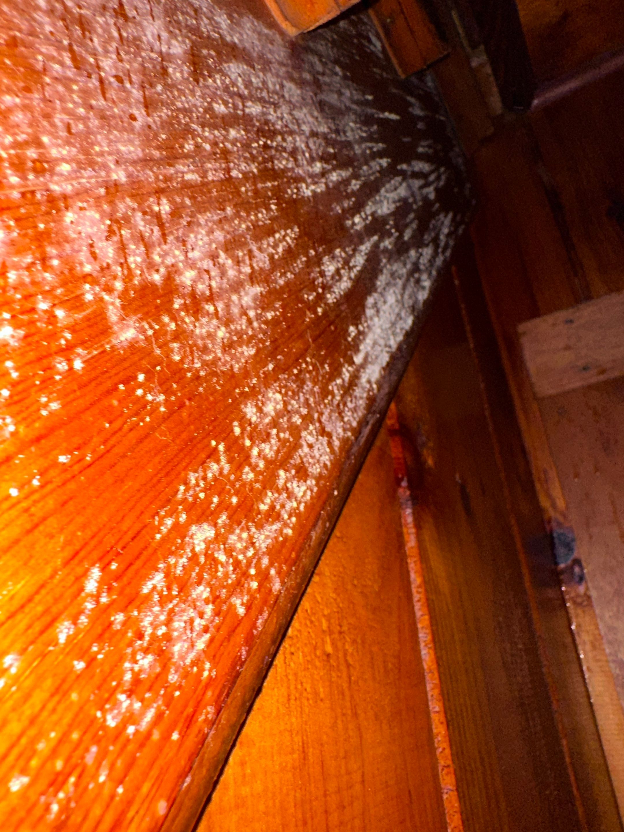 Entire Home Remediation by Home Guarantee, LLC