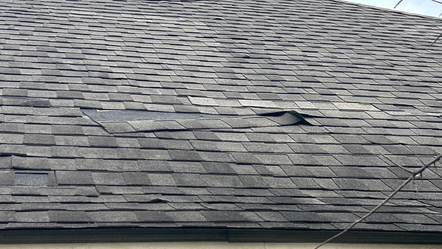 PAM M by Boss Hogg Roofing