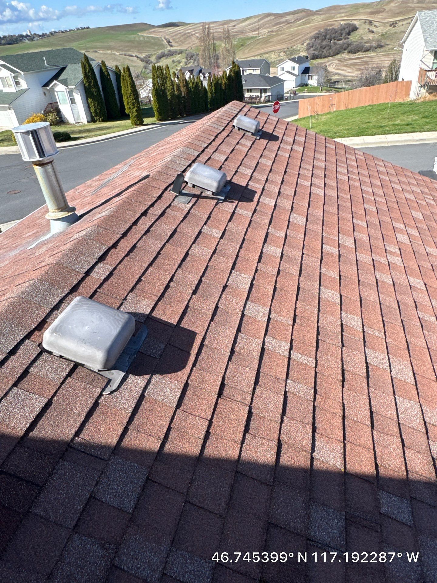 Residential Asphalt Shingle Roof Replacement and Sheathing Repair in Pullman by Alpine Roofing