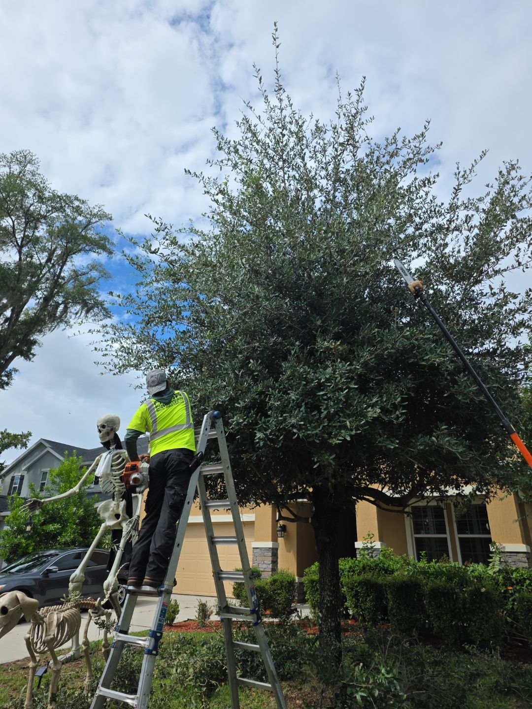 Property Clean Up | Residential by ProGreen Services
