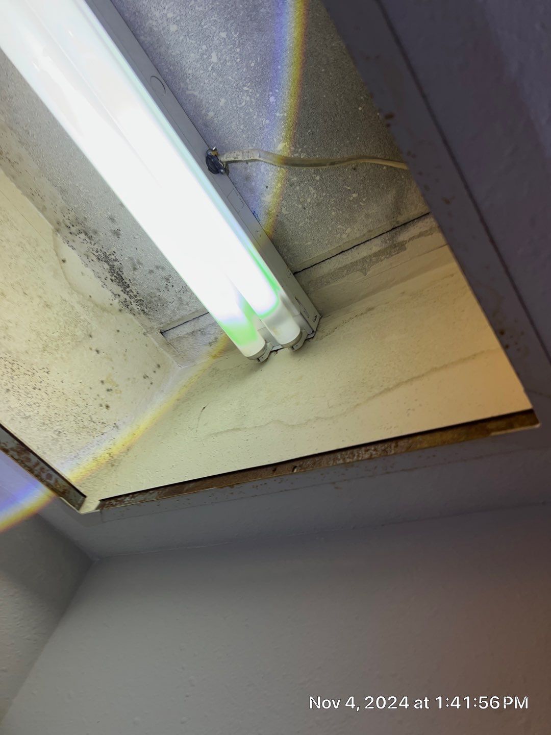Water Damage Rebuild In Bradenton, FL by Ampm Restoration Services