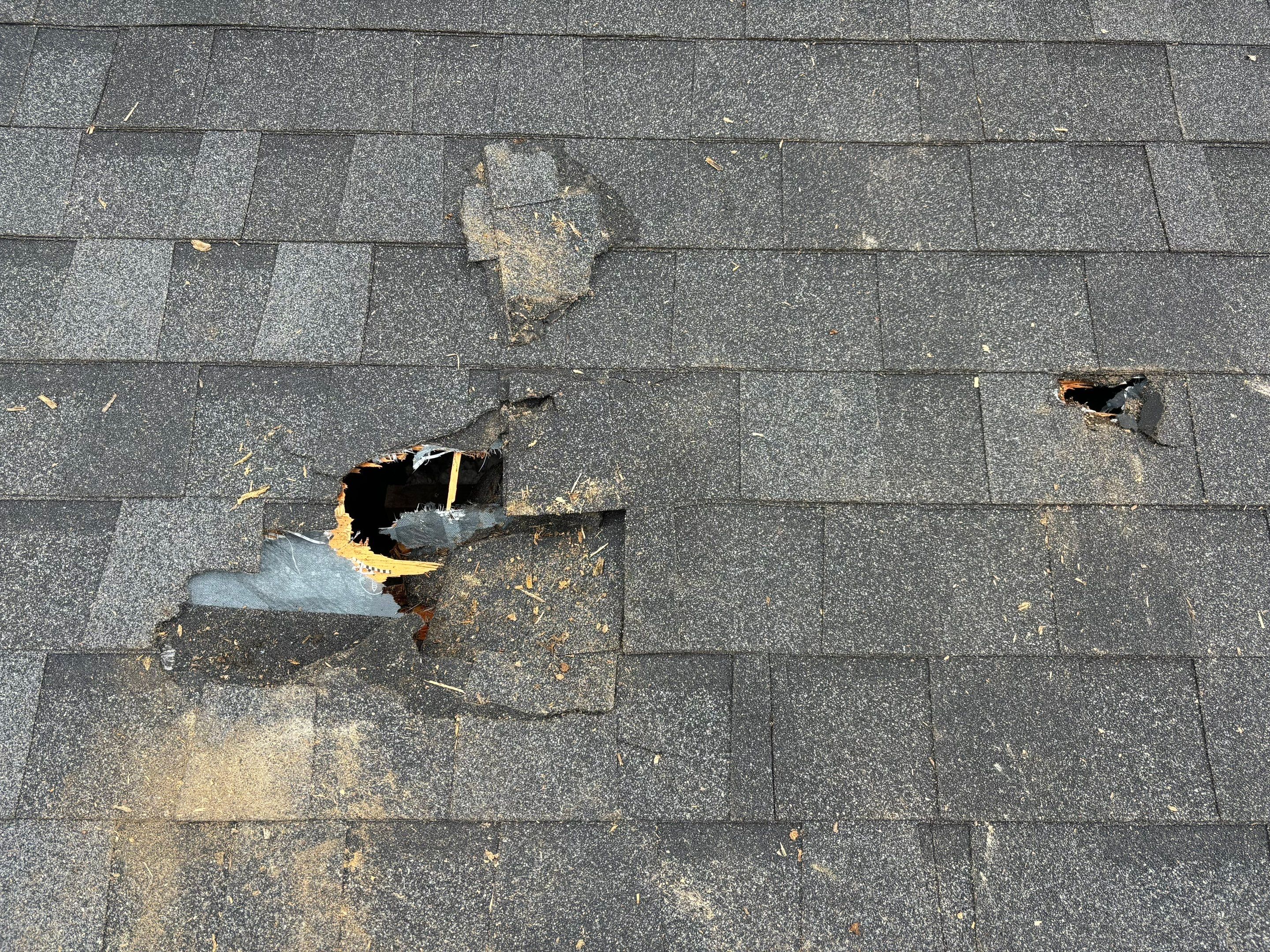 Roof Repair by Berry Good Roofing 