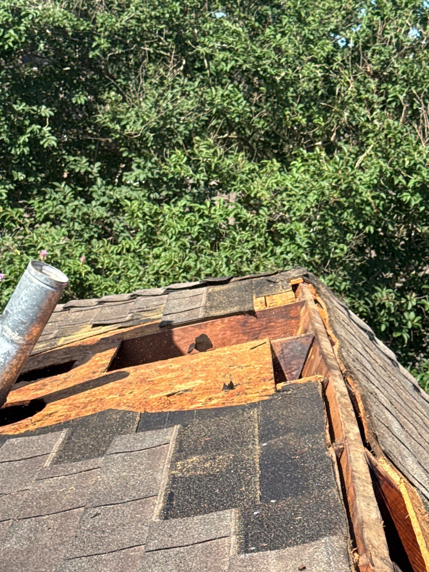 Roof Repair Spring by Roof Repair Company