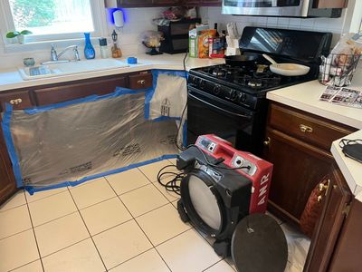 Mold Remediation and Repairs in Sellersburg, IN