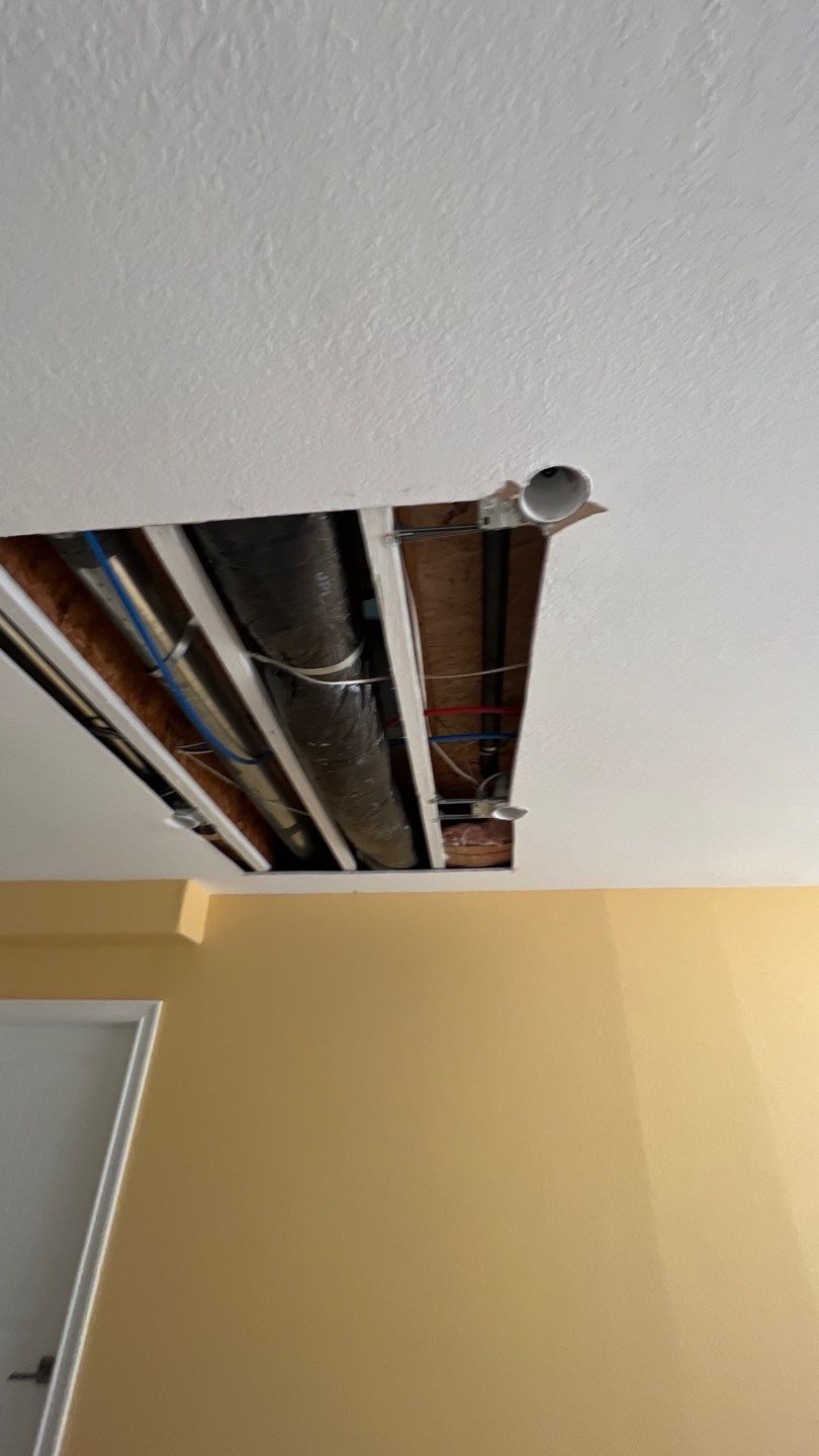 Mold Remediation by Accountable Home Services