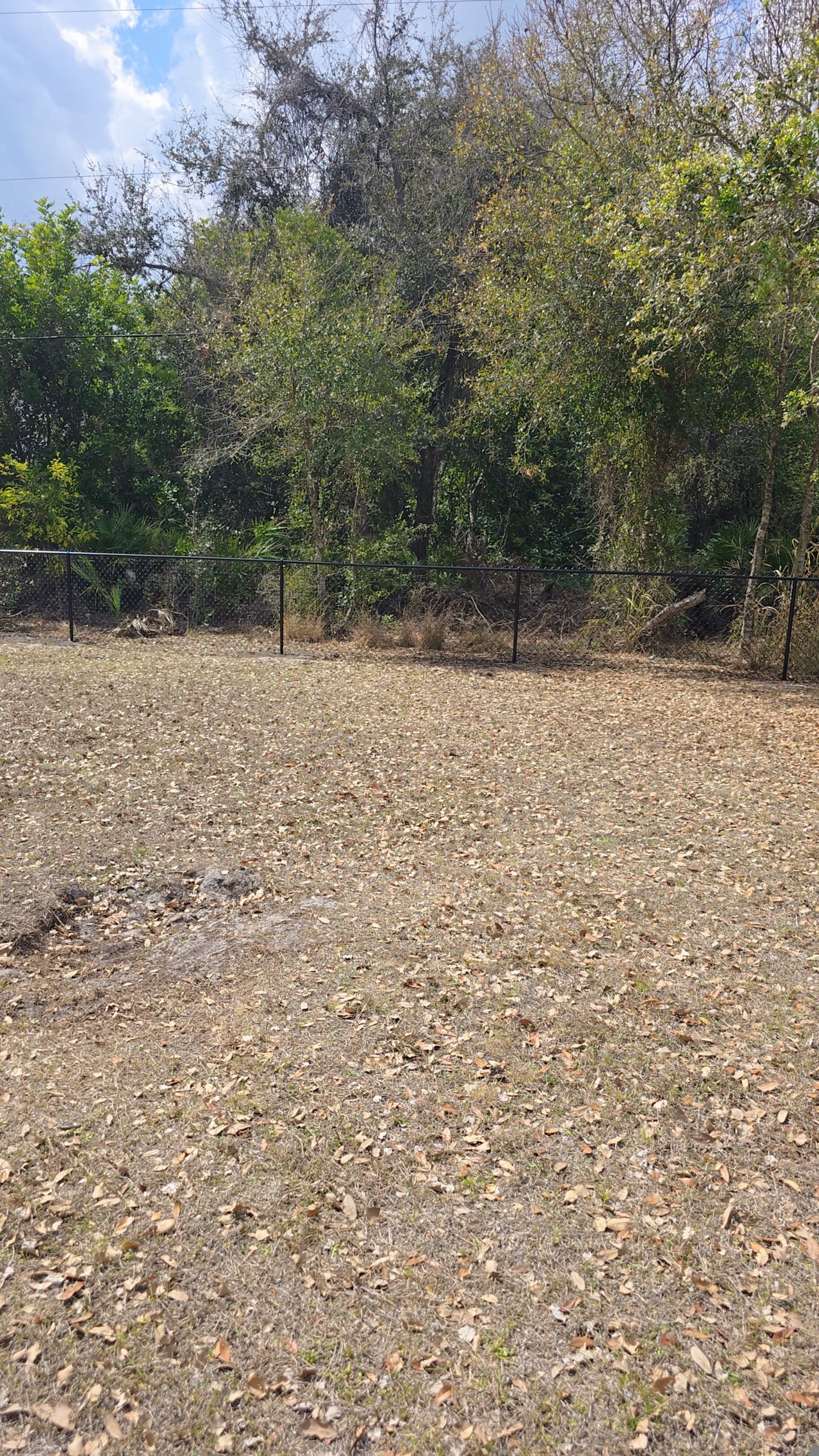 Chain Link Fence in Port Charlotte by True Fence LLC