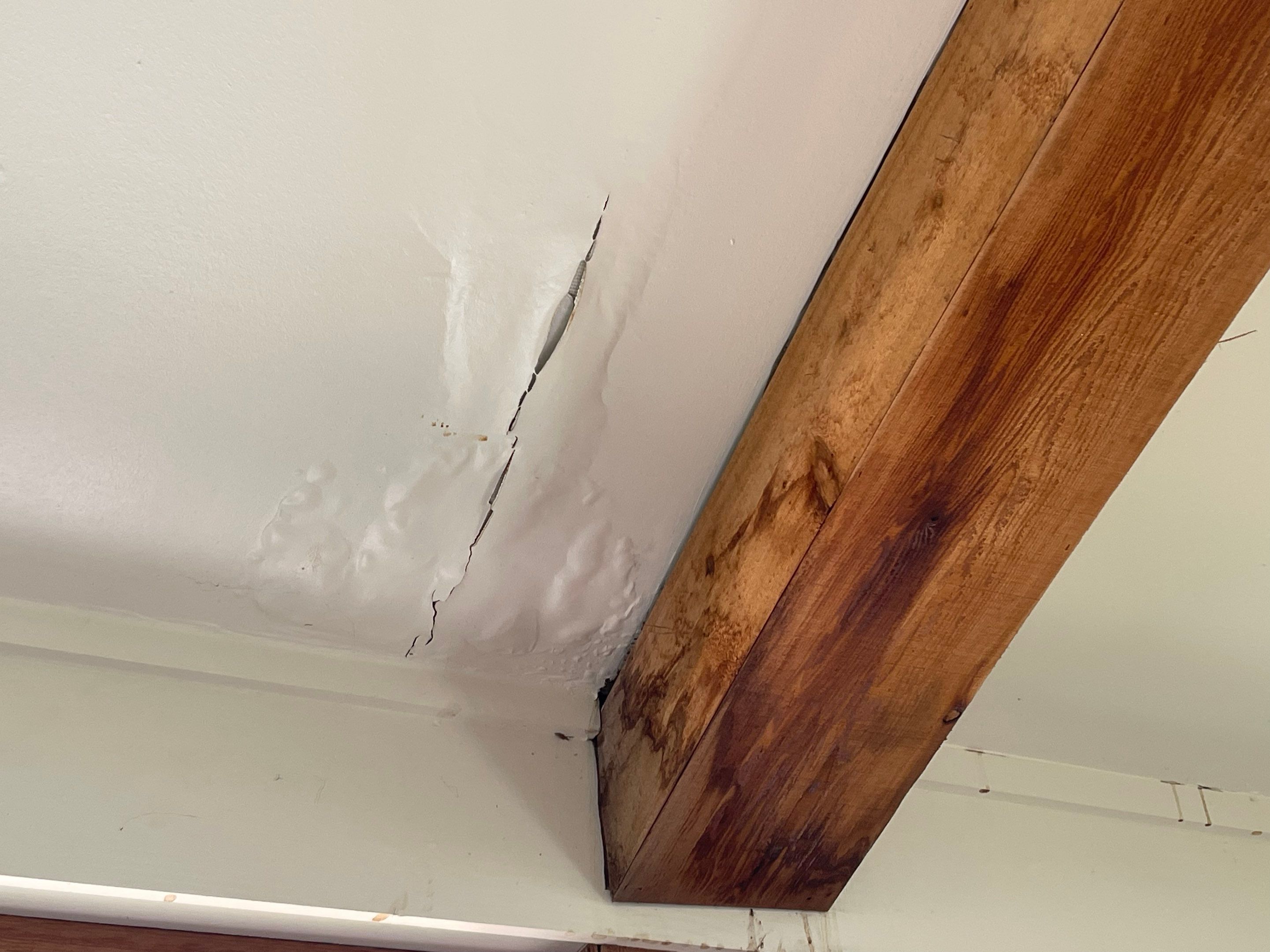 Asphalt Shingle Roof Repair and Skylight Restoration in Memphis by Revival Roofing Services