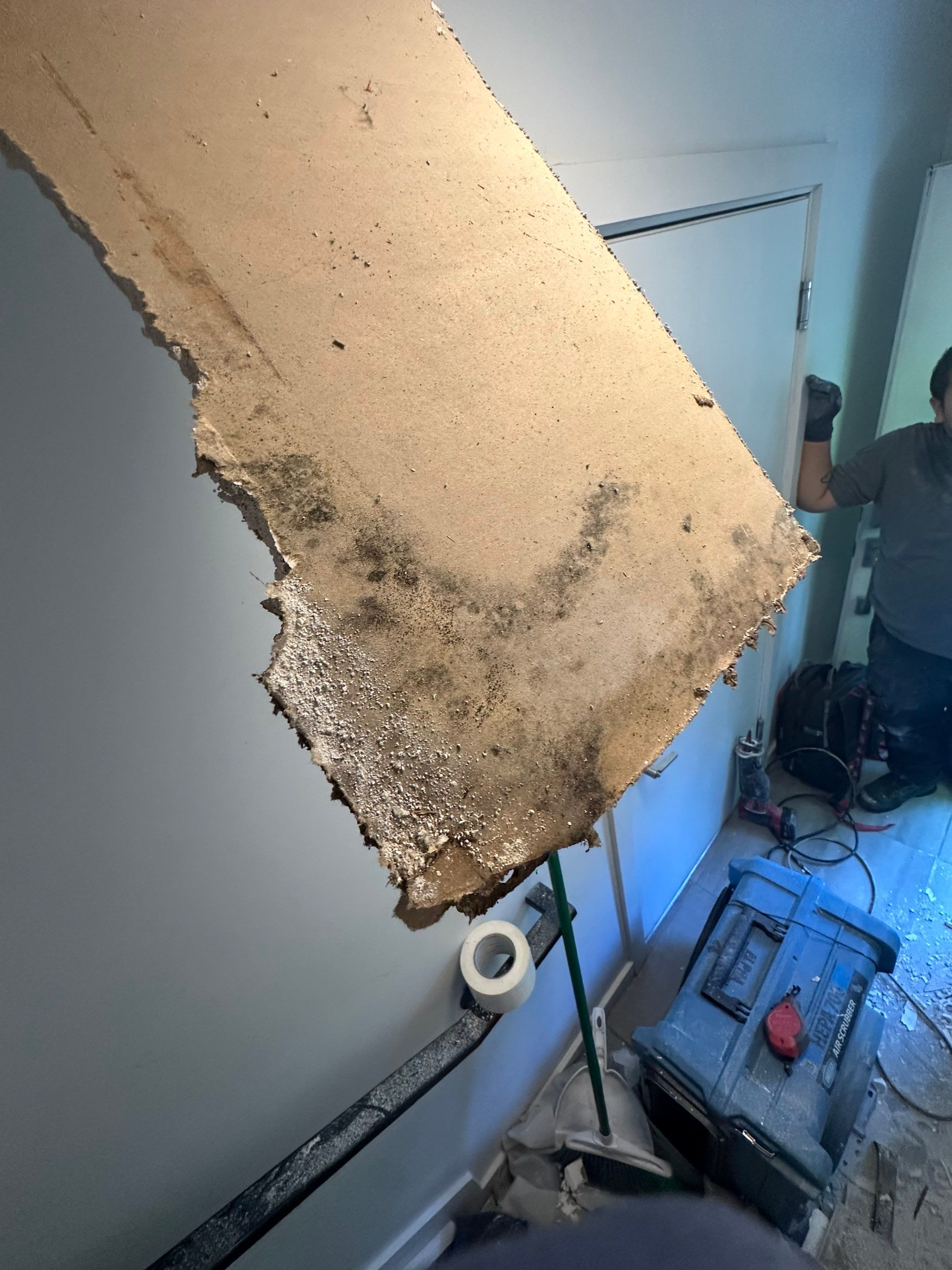 Water Damage in Denver, CO by Alpha Restoration 