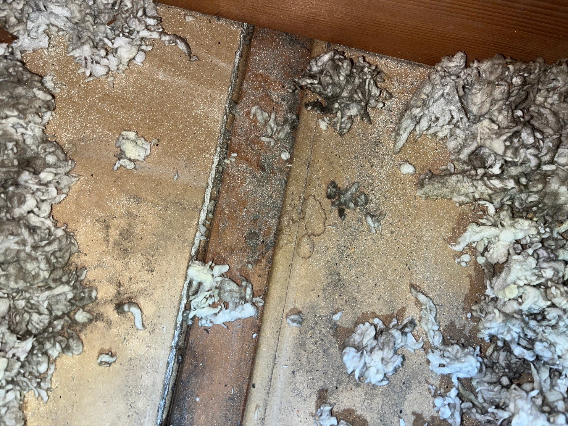 Attic Insulation and Air Sealing Upgrade in Castle Shannon by Home Environment Solutions