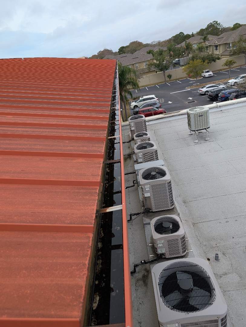 Retail roof & gutter cleaning before cleaning photo.