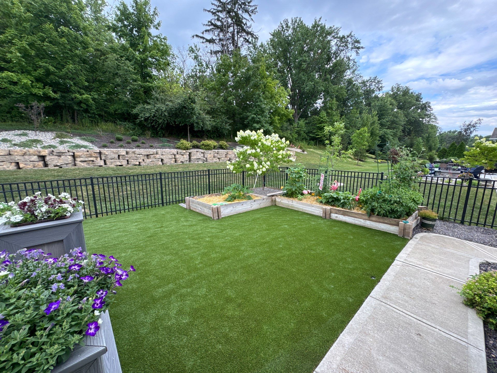 K9Grass in Westfield, IN by ForeverLawn NEIN/INDY