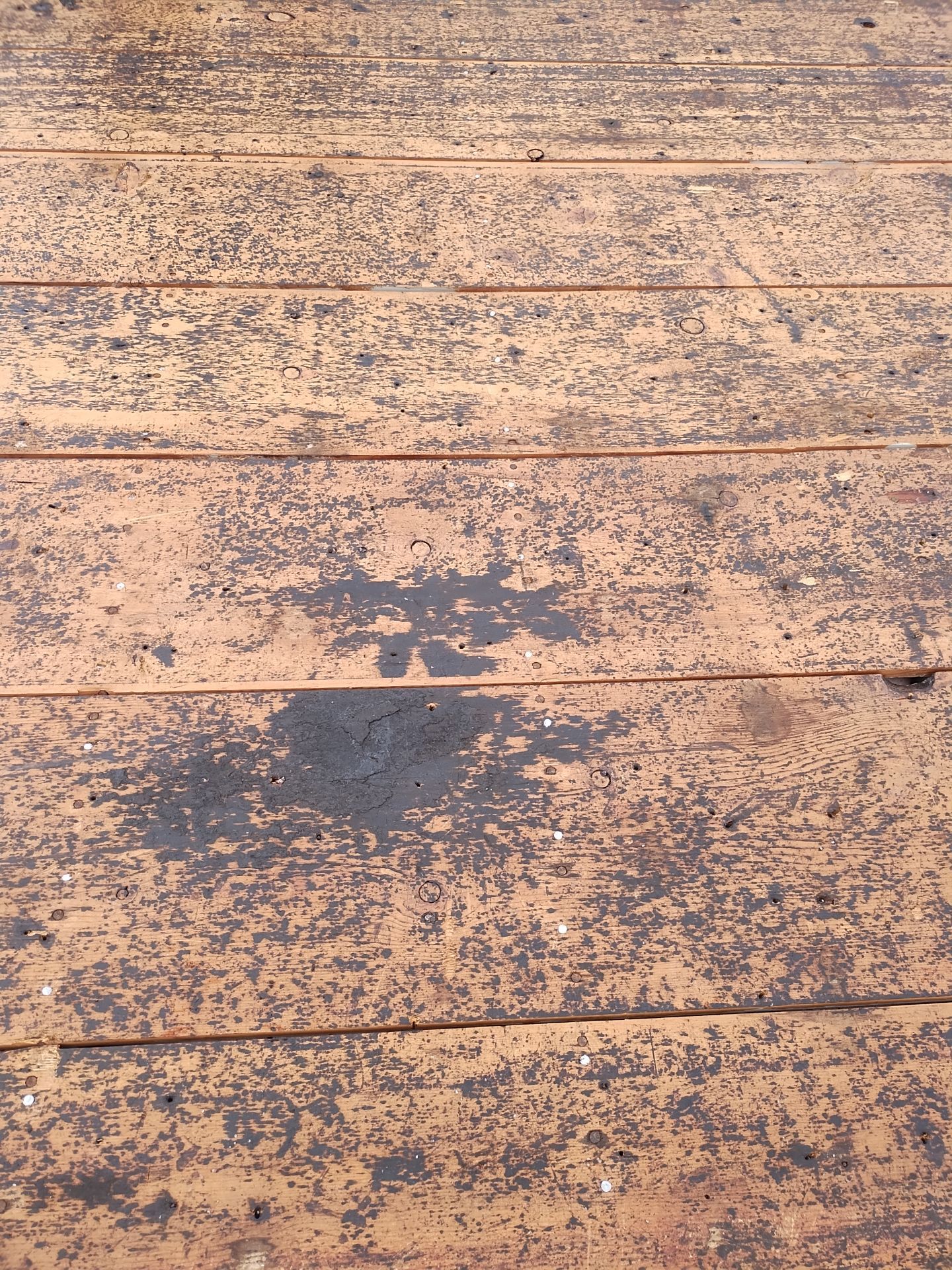 Project in St. Petersburg 33702 by Mitchell Roofing Company LLC 
