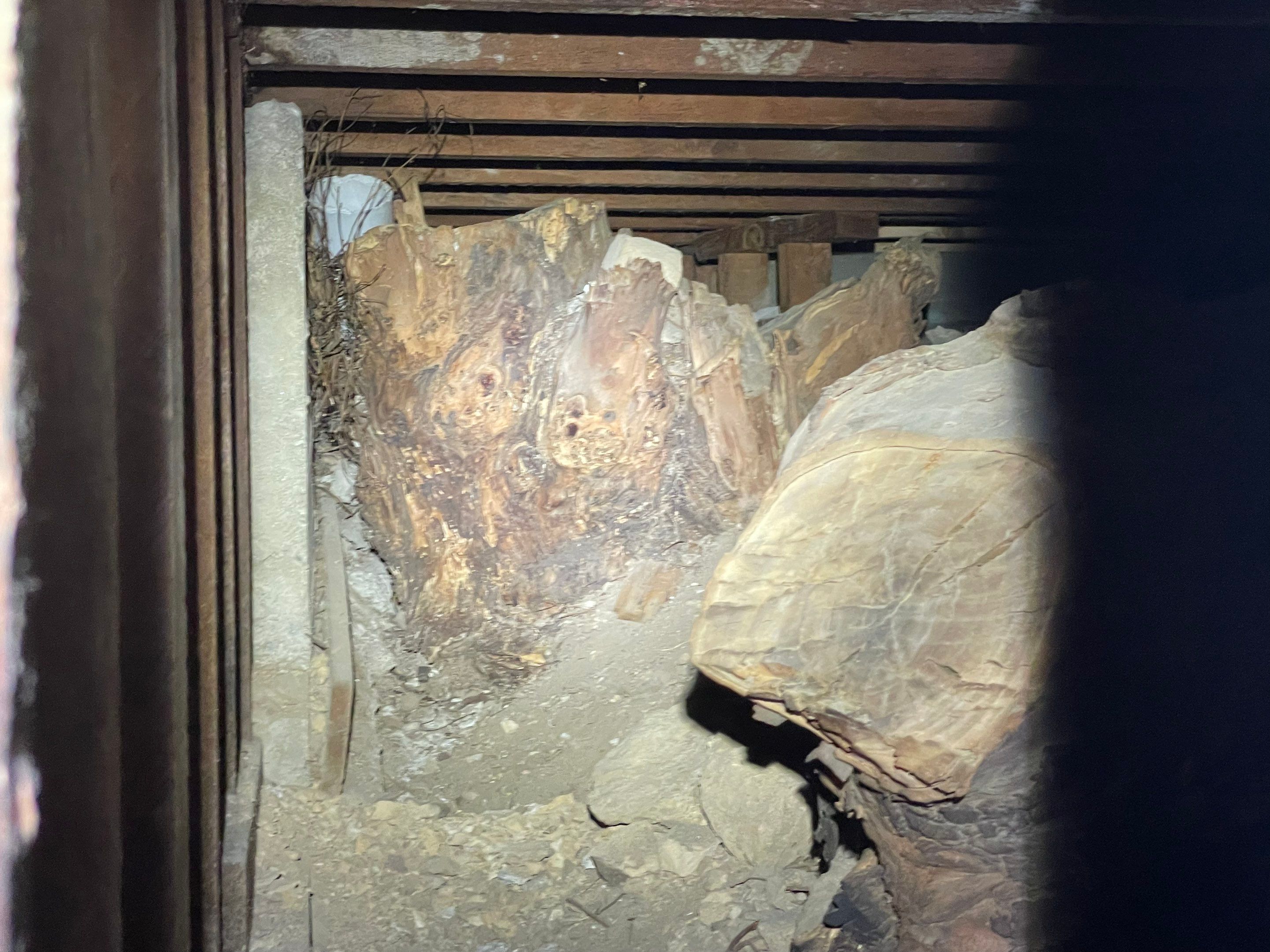 Wood Destroying Organisms Report by GLOBAL Termite Solutions
