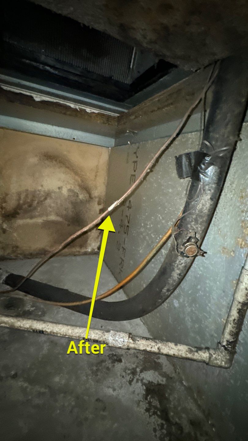 Commercial Air Duct Cleaning in Tavares by Hygienic Air, Inc