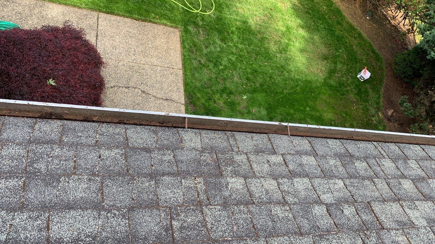 Softwashed in many Years back, and organic regrowth significant by DawnSky LLC