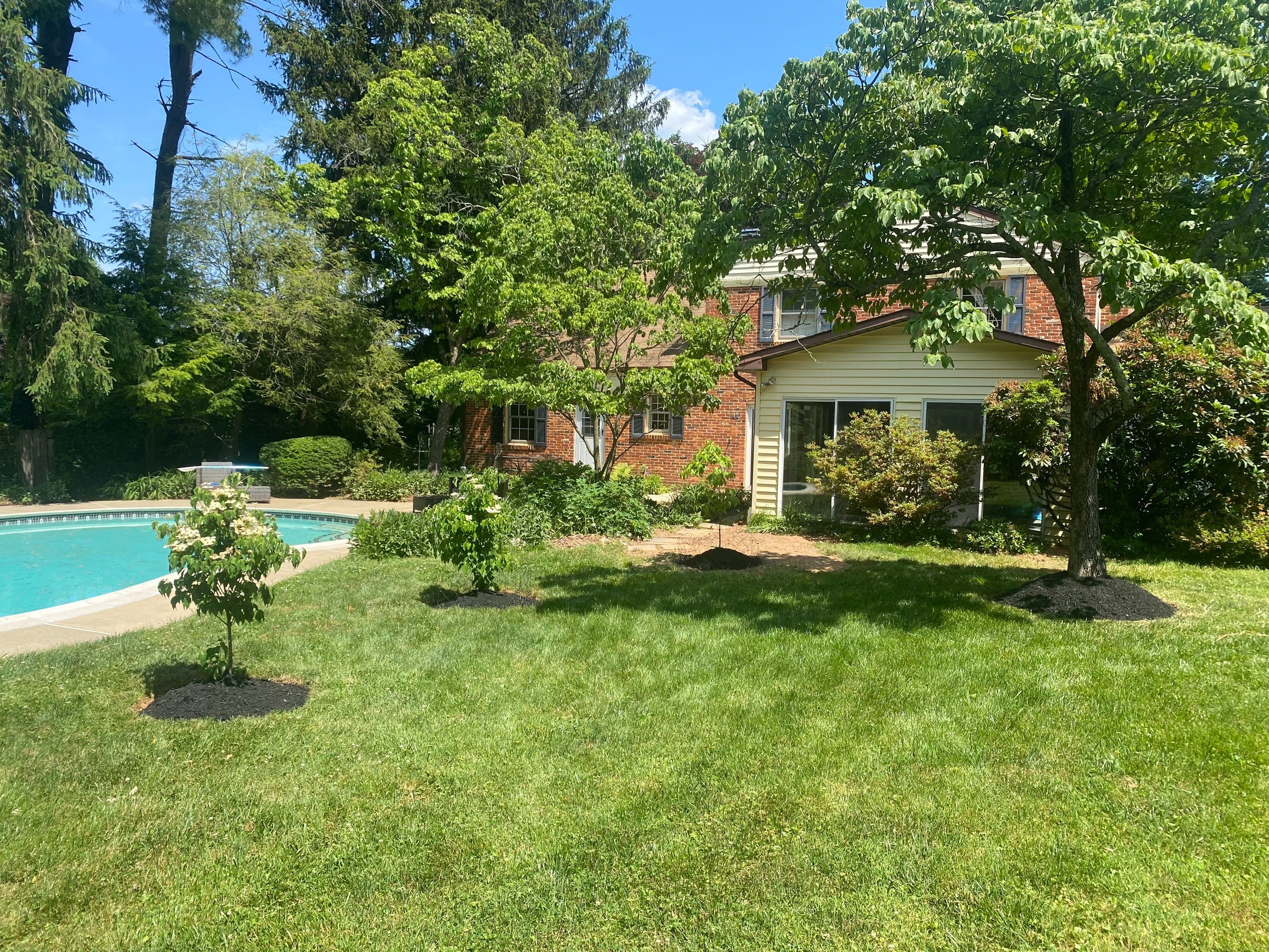 Landscape cleanup & drainage by The Smet Companies, LLC